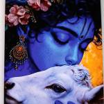 Sujit Dey Profile Picture